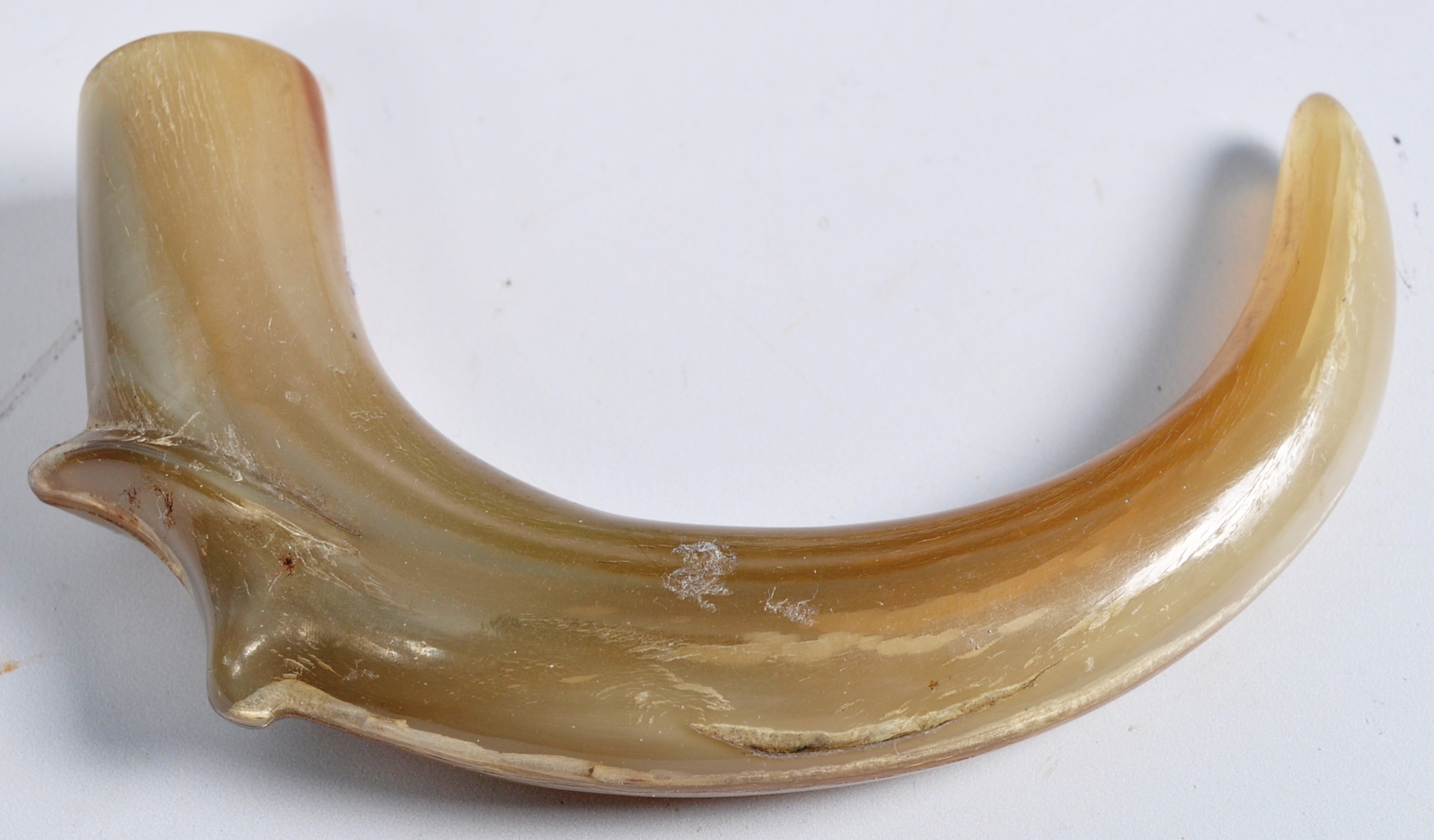 COLLECTION OF RHINO & BOVINE HORN ARTIFACTS - Image 3 of 8