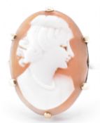 HALLMARKED 9CT GOLD & CONCH SHELL CAMEO RING