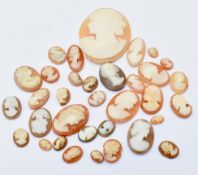 COLLECTION OF CARVED SHELL CAMEO PLAQUES