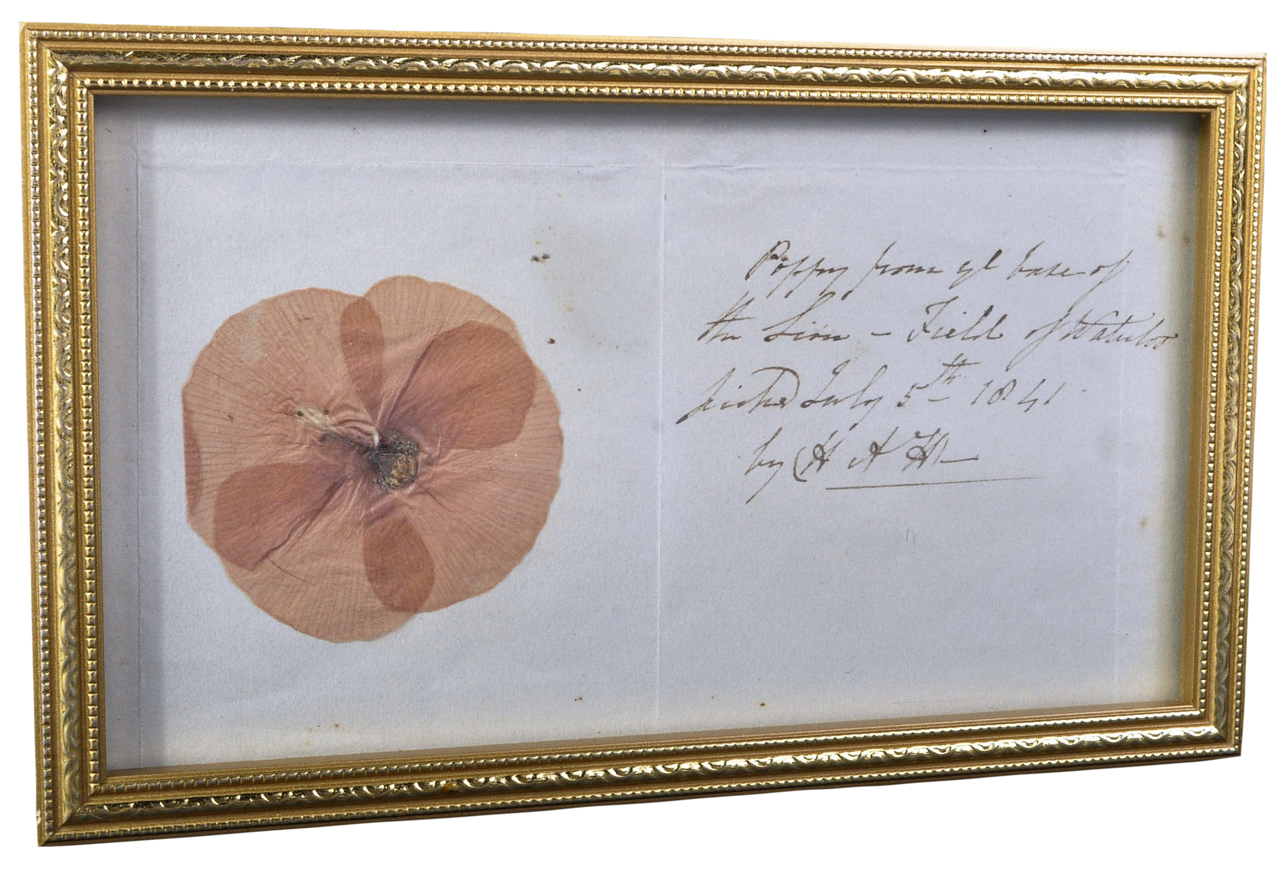 BATTLE OF WATERLOO INTEREST - PRESSED POPPY FROM LION'S MOUND, BELGIUM, 1841 - Image 10 of 12