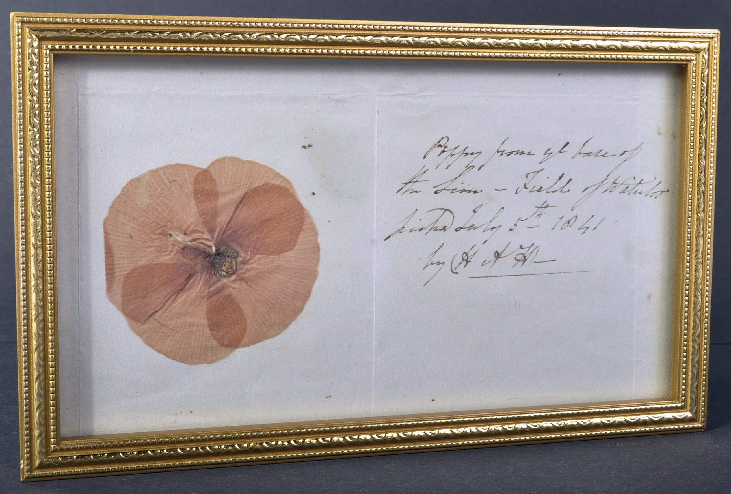 BATTLE OF WATERLOO INTEREST - PRESSED POPPY FROM LION'S MOUND, BELGIUM, 1841