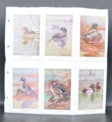 EARLY 20TH CENTURY NATIONAL AUDUBON SOCIETY POSTCARDS - COLLECTION OF 33