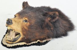 TAXIDERMY EXAMPLE OF AN ASIATIC BLACK BEAR HEAD