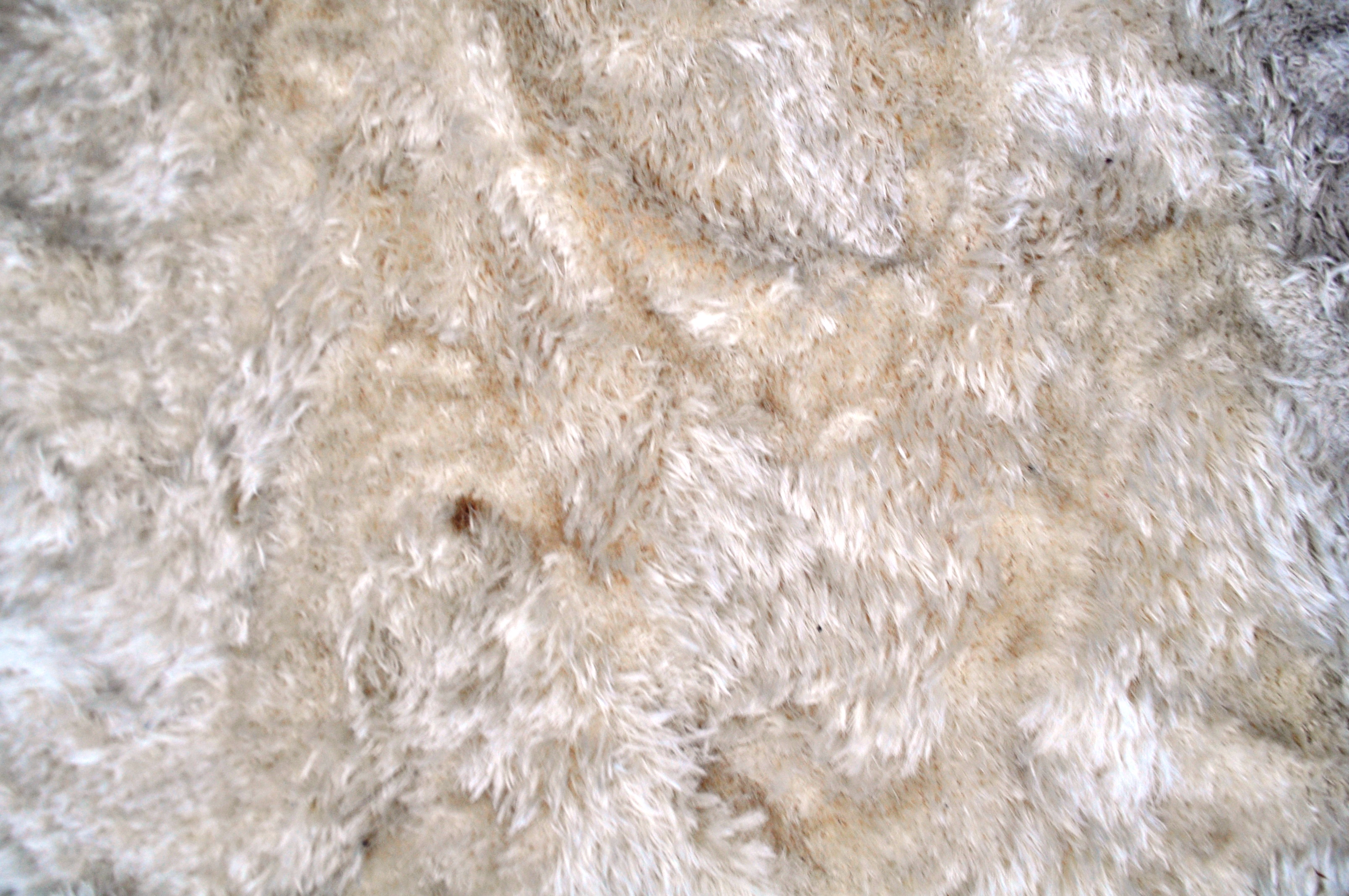 STEP SENGOR - TURKEY TUFTED WOOLEN CREAM FLOOR RUG - Image 3 of 4