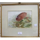 Unsigned, TWO FROGS, ALONGSIDE TOADSTOOLS, WATERCOLOUR, 16.5 X 24cm, another, TWO DONKEYS, 16.5 x