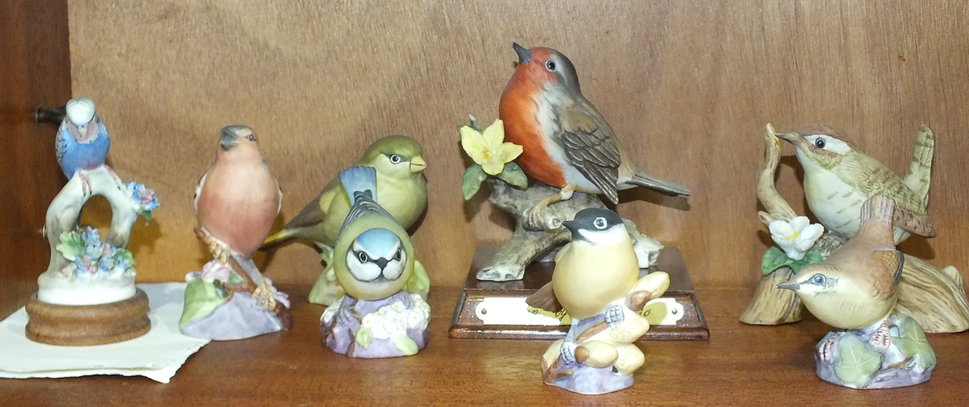 A collection of five Royal Worcester birds: Blue Tit no 3199, Robin, no.3197, Chaffinch, no.3240,