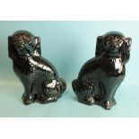 A pair of glazed terracotta black spaniel ornaments, with glass eyes, 34.5cm high.