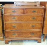 A reproduction burr walnut and cross-banded chest of two short and three long cockbeaded drawers, on