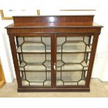 An early-20th century mahogany display cabinet, the rectangular top above a pair of astragal-