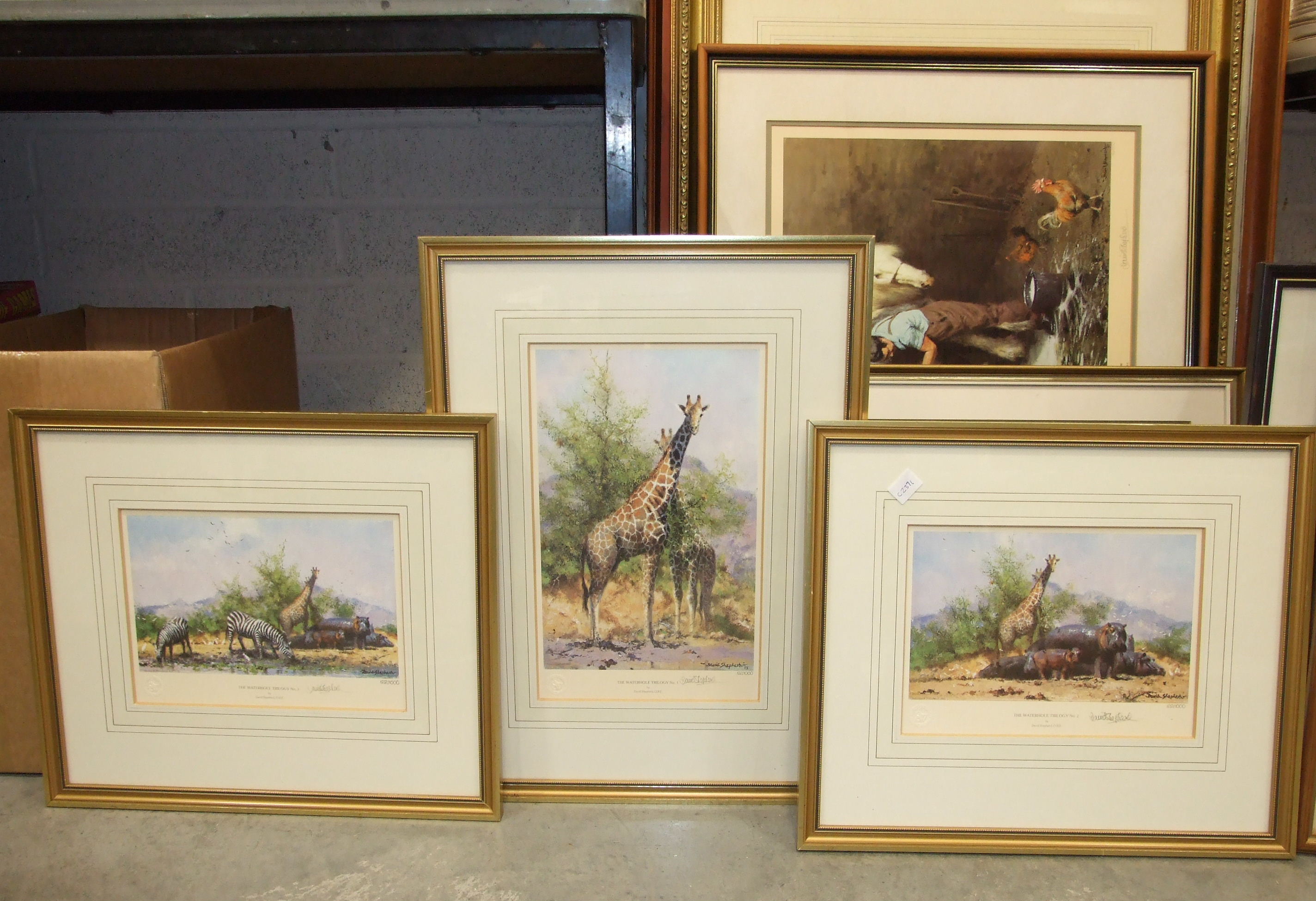 A collection of David Shepherd signed limited edition prints, including 'Playtime', 'Shampoo