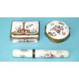 A Birmingham enamelled needle case and cover painted with dragonflies and floral sprays, 12cm, a