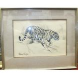 19th Century English School STUDY OF A TIGRESS LYING ON A ROCK Unsigned watercolour heightened