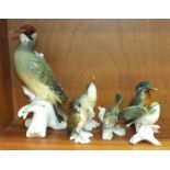 Five Karl Ens porcelain bird models: a green woodpecker, 26cm high, a wren, a nuthatch, a