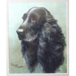 G Louie Grover (20th century) HEAD AND SHOULDERS PORTRAIT OF A COCKER SPANIEL Signed oil on card, 28