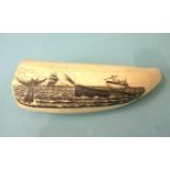 A scrimshaw-work whale tooth depicting a whaling scene and signed César, 16cm long.