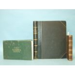 Britton (J) & Brayley (E W), Devonshire Illustrated and Cornwall Illustrated, in a series of