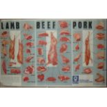 Two meat posters showing cuts of lamb, beef and pork, by FMC (Meat) Ltd.