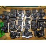 Fifteen SLR cameras: Pentax Asahi (x3) & MX, Zenit EM & 12XP, Olympus OM-1 & OM-2, Praktica MTL3,