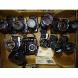 Eleven SLR cameras: Pentax P30 (x3), ME Super, MV & P50, Nikon FM & EM, Canon AE-1, Chinon CE-3