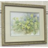 Shirley Harrell (20th century), 'Devonshire Hedgerow', a signed watercolour, titled label verso,