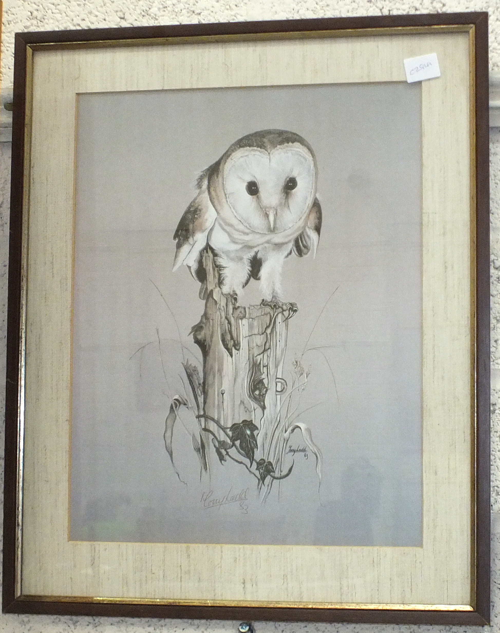 Chris Rahm?, 'Study of an owl', unframed gouache and crayon, 30 x 20cm, after Tony Ladd, 'Owl - Bild 2 aus 3