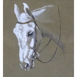Mabel Augusta Kingwell (1890-1924) HEAD AND SHOULDERS OF A GREY HORSE Signed watercolour