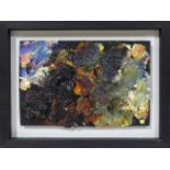 A framed and mounted Robert O Lenkiewicz artist's palette, palette 20 x 31cm, 30 x 40cm overall,