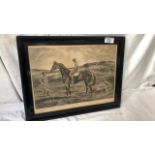 PICTURE HORSE- MERRIMENT IV 1931