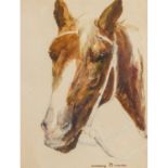 DILL, OTTO (1884-1957) "Pferdekopf"Aquarell auf Papier, HxB: ca. 57/44 cm, Rahmen, Bla