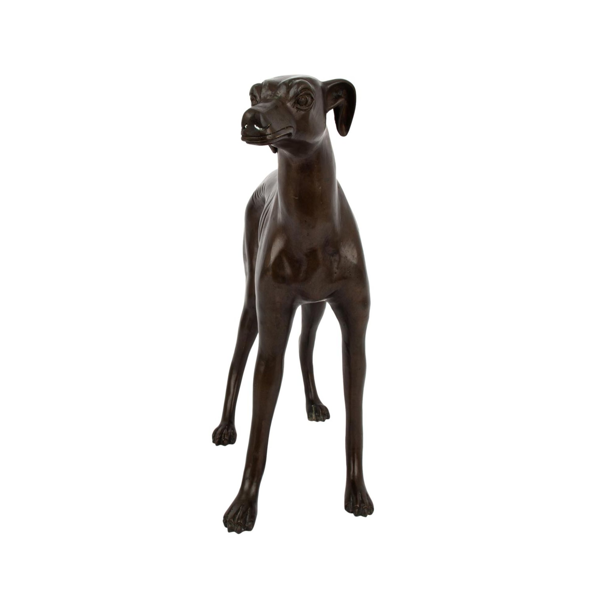WINDHUND20.Jh., Messing bronziert, vollplastische Figur eines Windhundes in stehender - Image 2 of 6