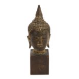 Kopf eines Buddha, SIAM, 19.Jh., Bronze mit dunkler und teils grünlicher Patina, die