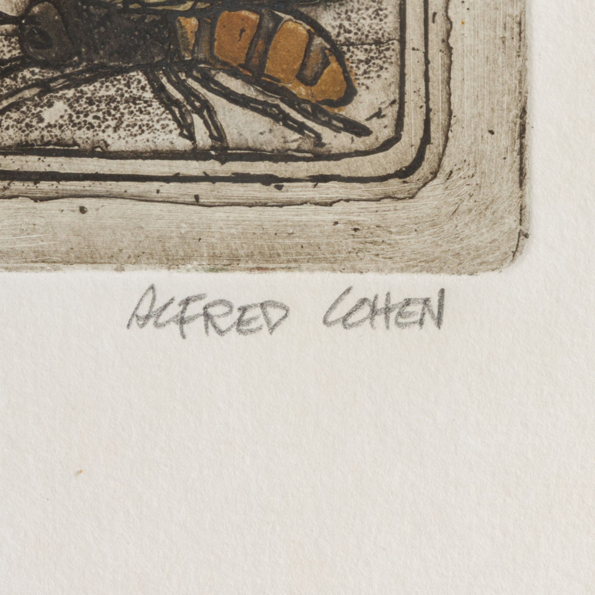 COHEN, ALFRED (1920-2001) "Flowers No 2" Radierung, signiert, nummeriert 41/50 und bet - Image 3 of 5