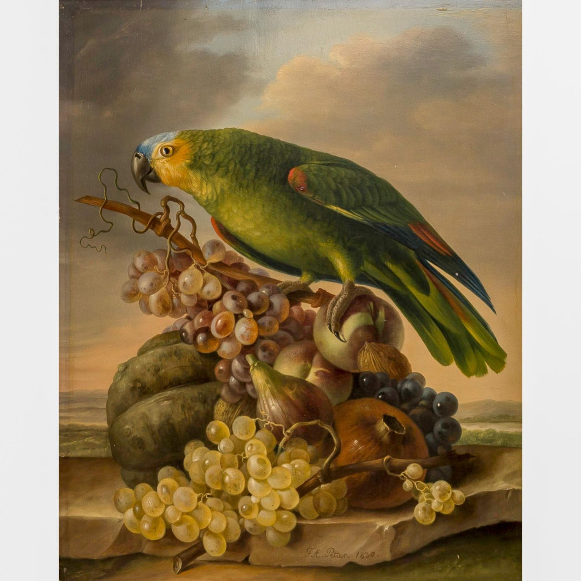 PETTER, FRANZ XAVER (Wien 1791-1866), Paar Papageienbilder als Pendants, - Bild 3 aus 6