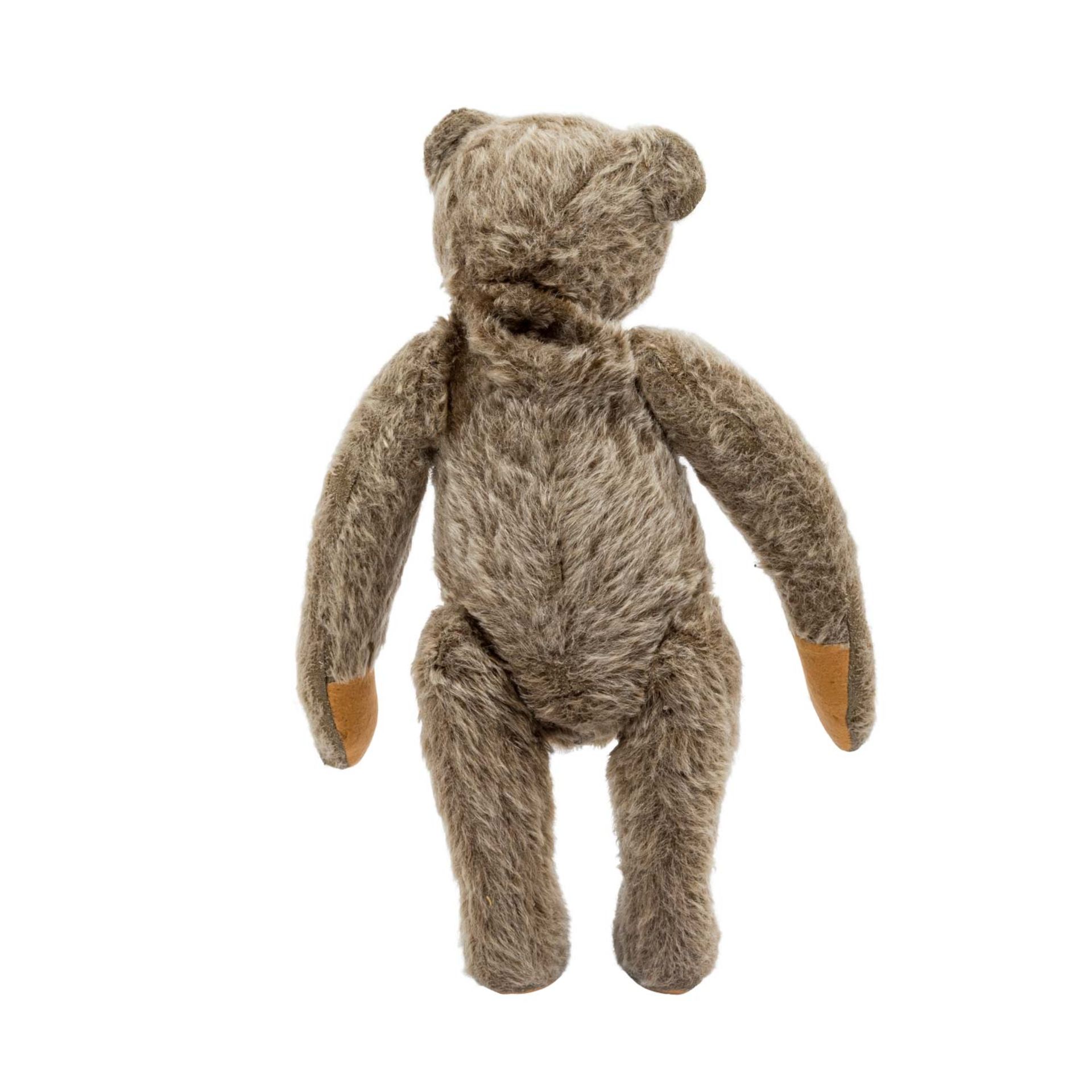 STEIFF "Teddybär", 1926-1934, - Bild 2 aus 4