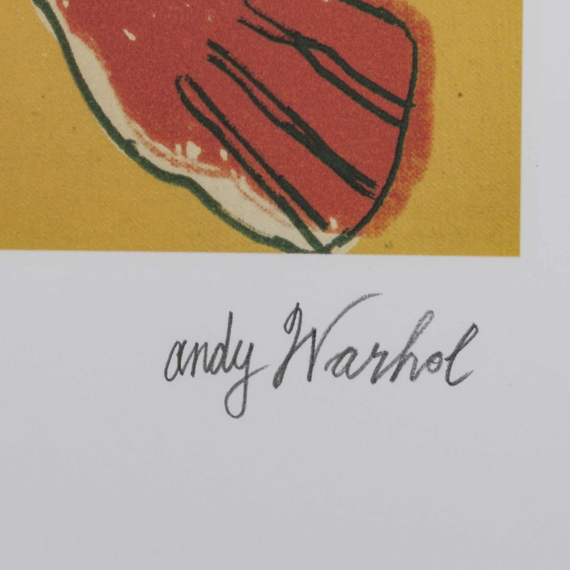 WARHOL, ANDY (1928-1987) "Parrot" - Image 2 of 4