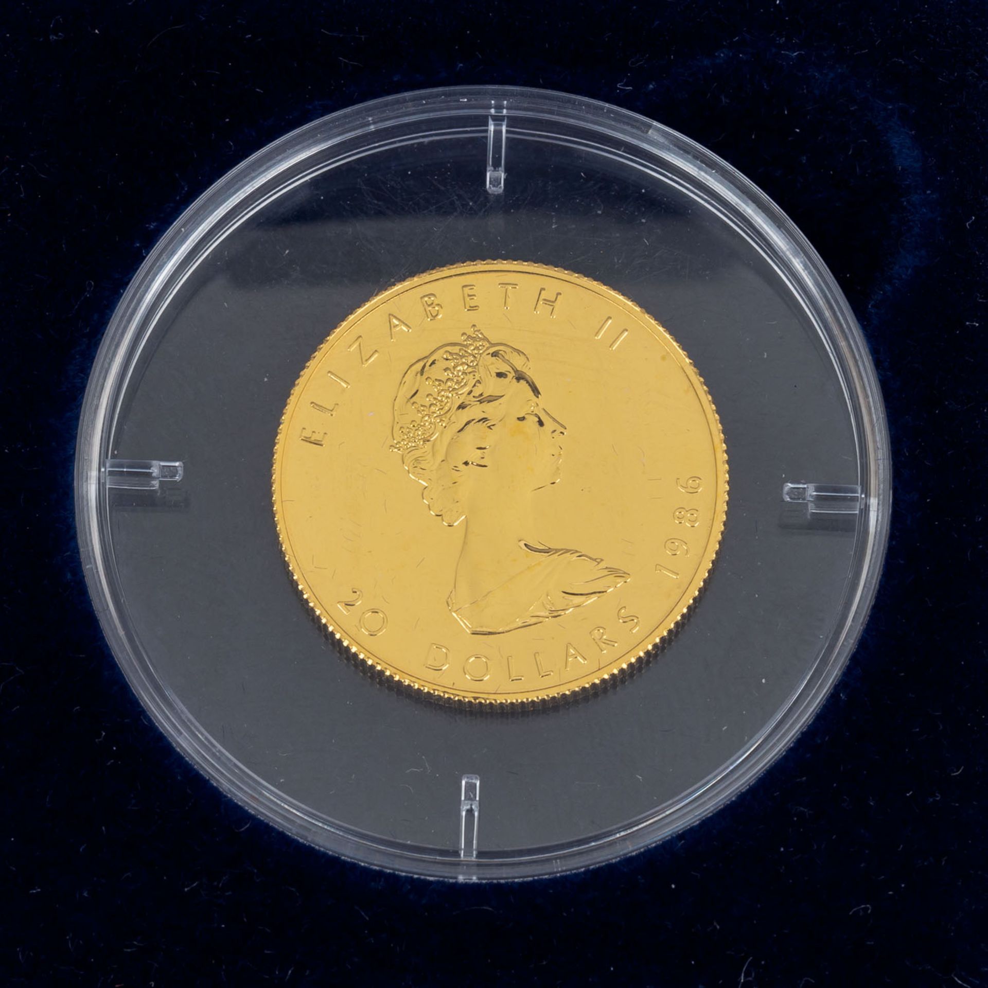 Kanada/GOLD - 1/2 Unze Maple Leaf,20 Dollars 1986, ca. 15,55 g fein, vzCanada/ - Image 3 of 3