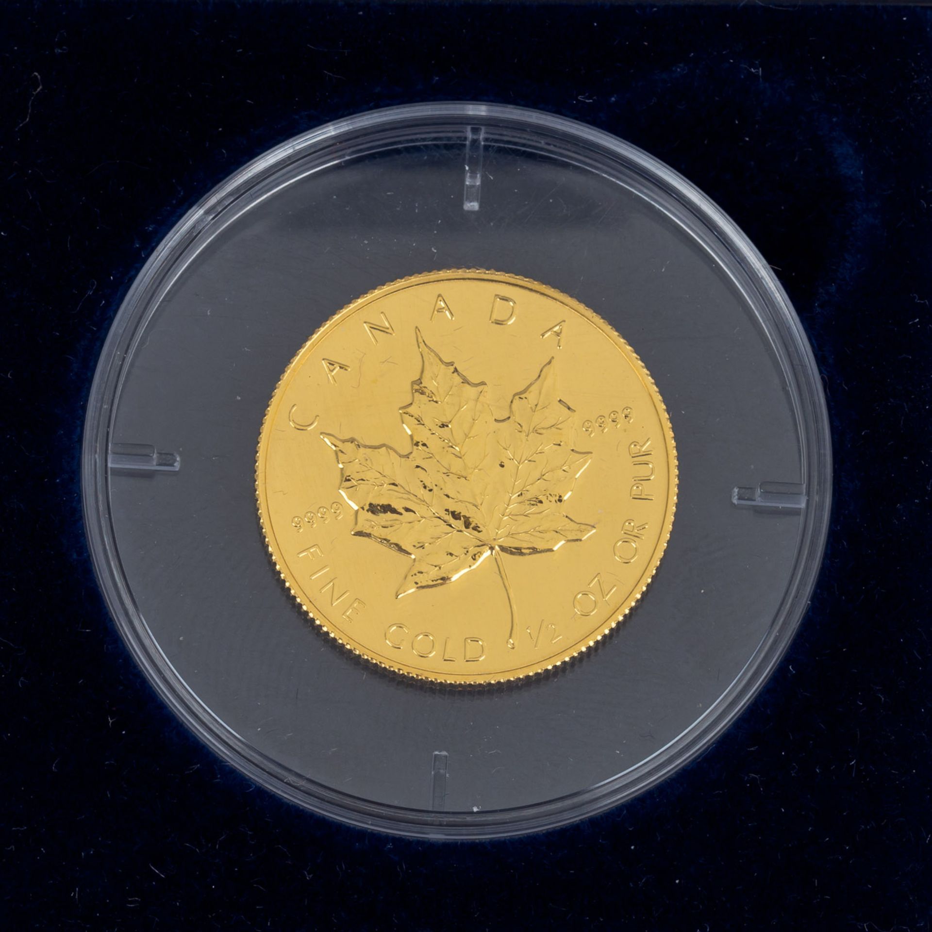 Kanada/GOLD - 1/2 Unze Maple Leaf,20 Dollars 1986, ca. 15,55 g fein, vzCanada/ - Bild 2 aus 3