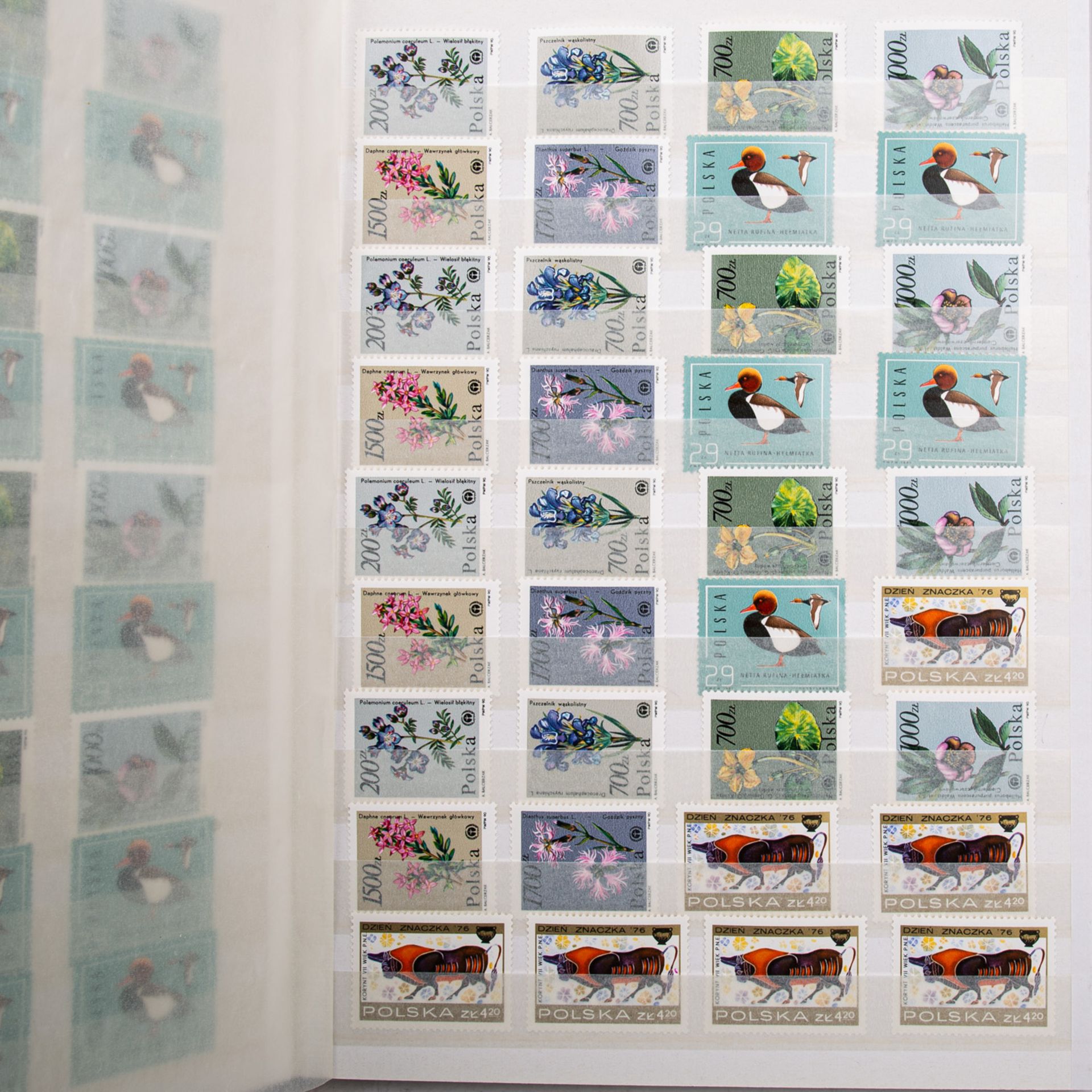 Briefmarken Sammlungsauflösung10 Alben mit Schwerpunkt Sowjetunion, hierbei sind Mark - Image 4 of 5