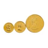 3 x Kanada in GOLD - 1 x Kanada - 20 Dollars 1989, Maple Leaf, vz-, 1/2 Unze Gold fein