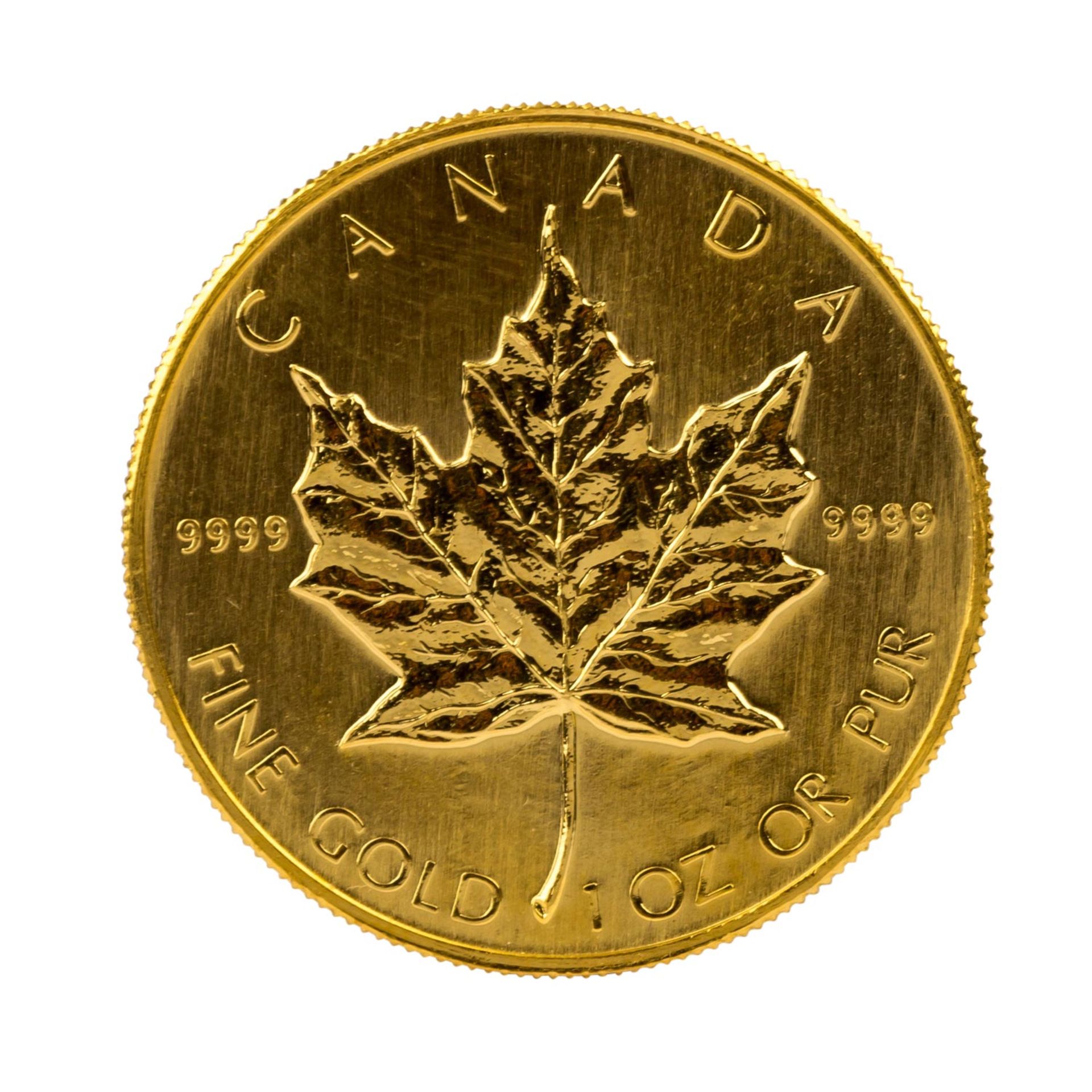 Kanada/GOLD - 1 oz. Maple Leaf 1985, - Image 2 of 2