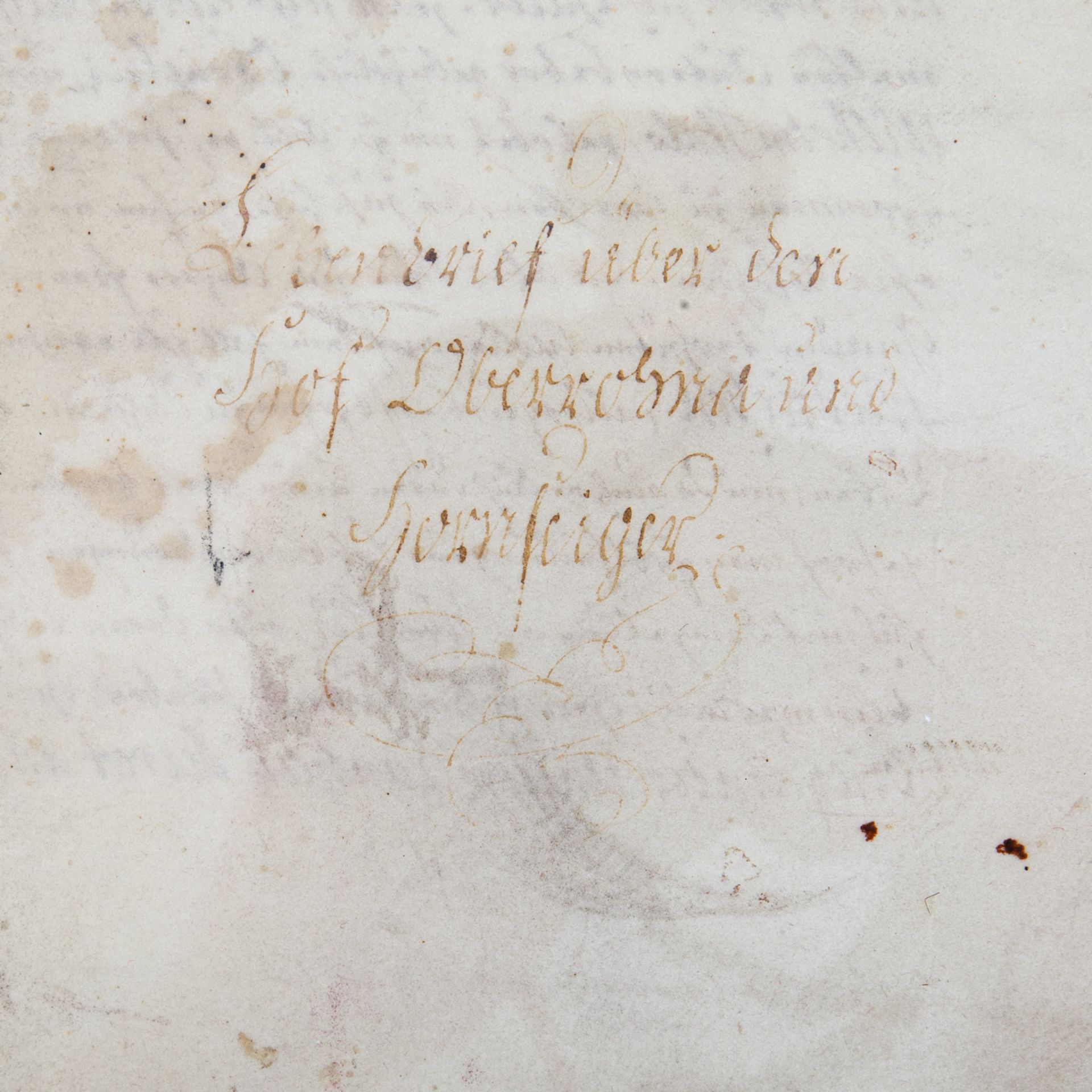 Lehensbrief von 1717, - Bild 3 aus 5