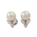 Ohrringe mit Perlen und Diamanten, zus. ca. 0,7 ct, gute-mittl. Farbe und Reinheit, je