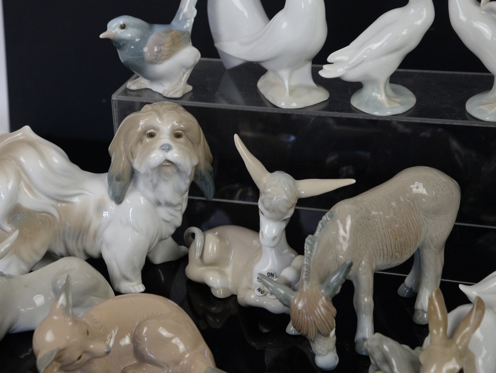 Quantity of Lladro animal figurines, to include donkeys, a fox, dove, Pekinese dog, ducks and a - Image 7 of 12