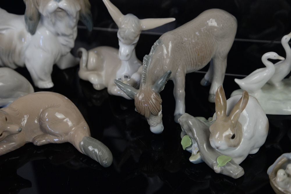 Quantity of Lladro animal figurines, to include donkeys, a fox, dove, Pekinese dog, ducks and a - Image 10 of 12