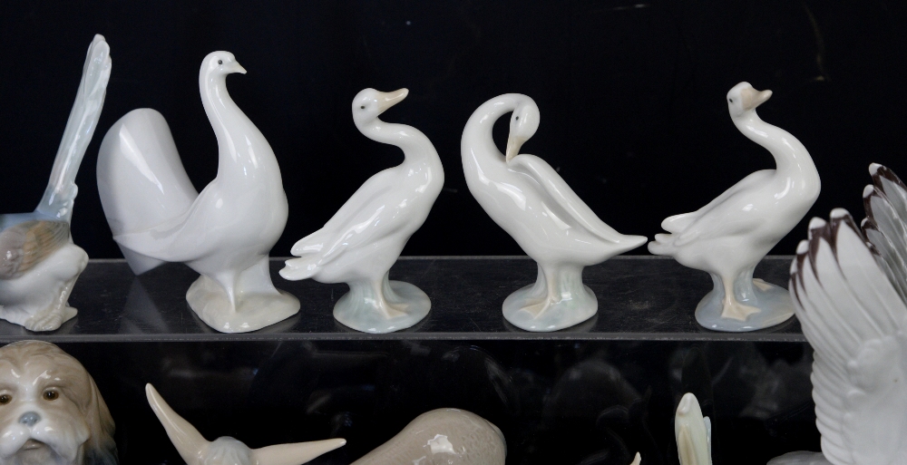 Quantity of Lladro animal figurines, to include donkeys, a fox, dove, Pekinese dog, ducks and a - Image 6 of 12