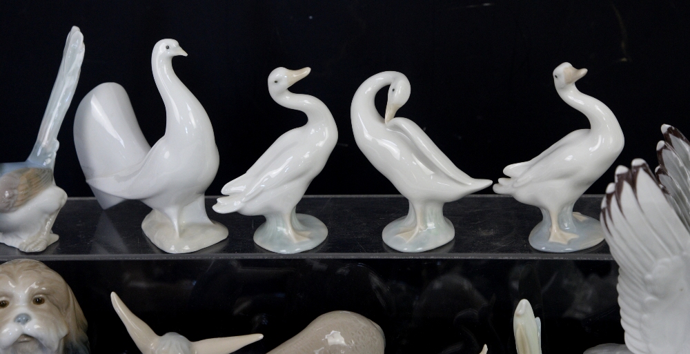 Quantity of Lladro animal figurines, to include donkeys, a fox, dove, Pekinese dog, ducks and a - Image 5 of 12