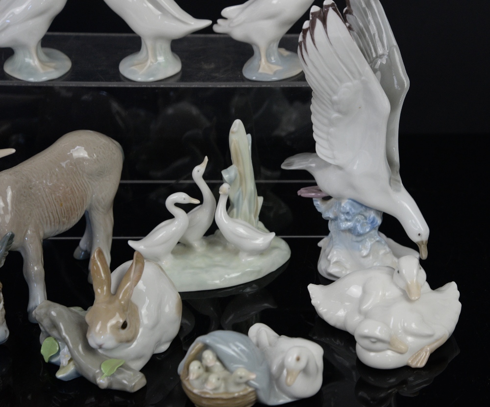 Quantity of Lladro animal figurines, to include donkeys, a fox, dove, Pekinese dog, ducks and a - Image 3 of 12