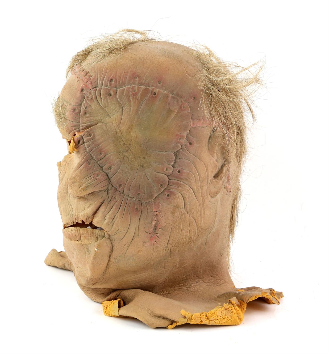 Two Horror masks including a foam latex demon bust designed by artist Mark Alfrey and another - Image 7 of 7