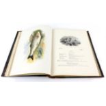 Rev W Houghton, British Freshwater Fishes, illustrated by A F Lydon