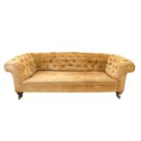 Chesterfield sofa with button back mustard velvet upholstery, on turned mahogany feet and castors,